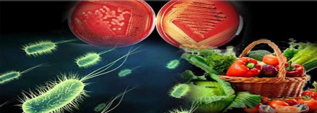 MICROBIOLOGIA EM ALIMENTOS